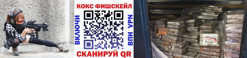COCAIN FishScale где купить наркоту Елизаветинская