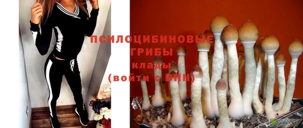 дмт Белоозёрский