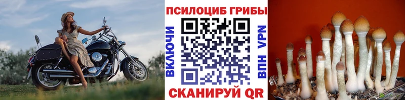 Галлюциногенные грибы GOLDEN TEACHER  как найти закладки  Елизаветинская 